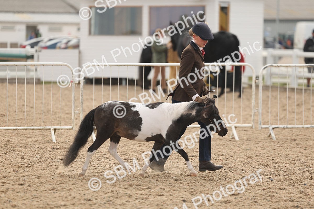 SBM_02074 - Class 15 - IH Coloured