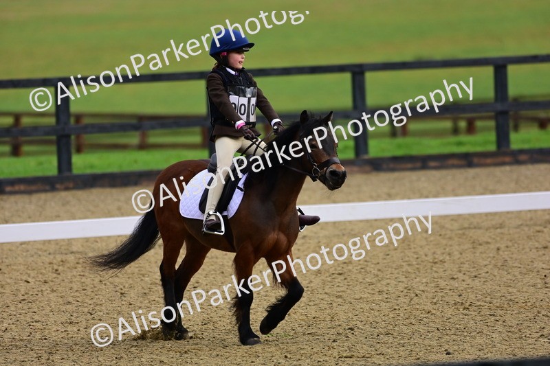 20260125-0506 - Class 9b - Walk Trot Unassisted