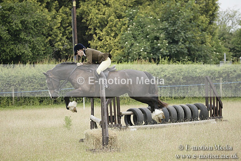 B230619-0086 - Bourne Valley Riding Club Summer Show 23/06/19