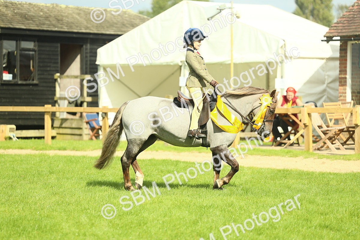 SBM_44894 - Working Hunter Pony Supreme Championship
