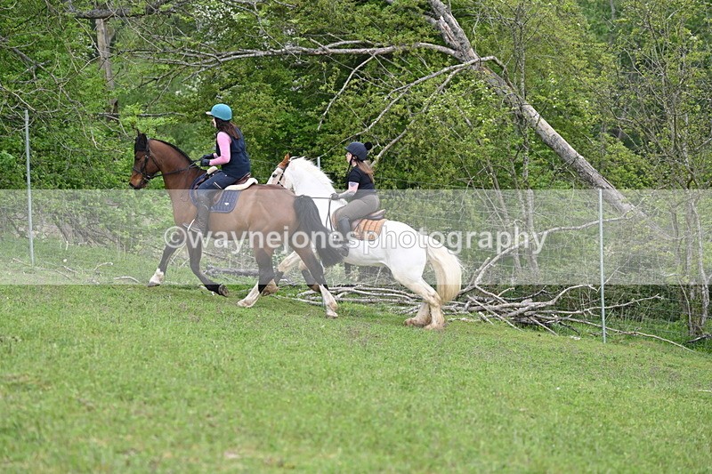 WJ6_3248 - A camera