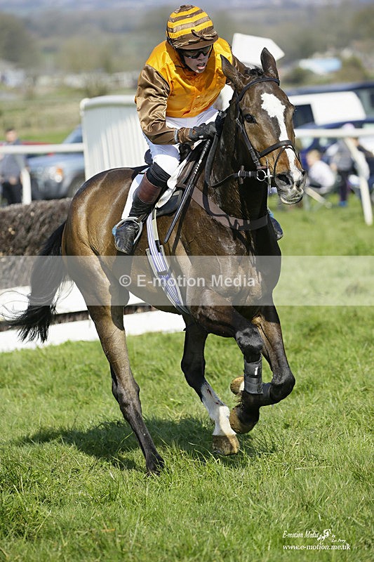 PtP 200322 255 - Mendip Farmers Point-to-Point 20/03/22