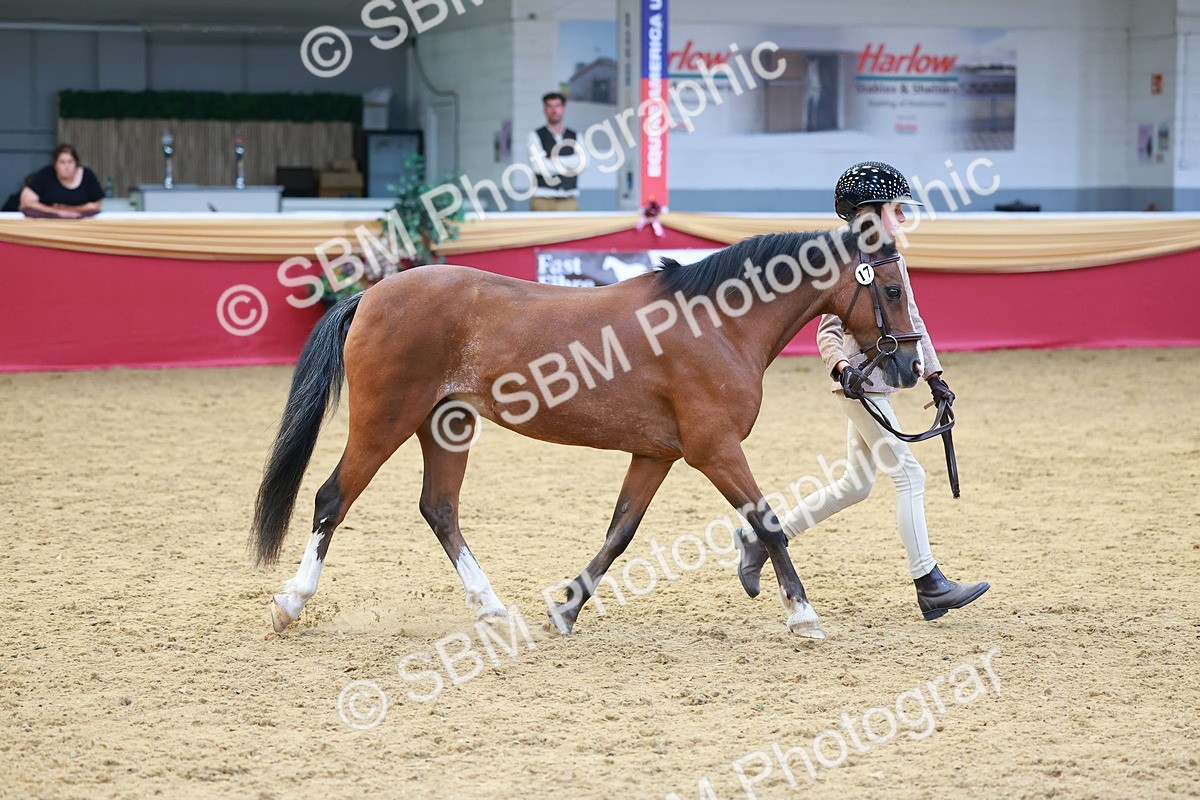 SBM_04245 - Class 9R - IH Pre-Vet