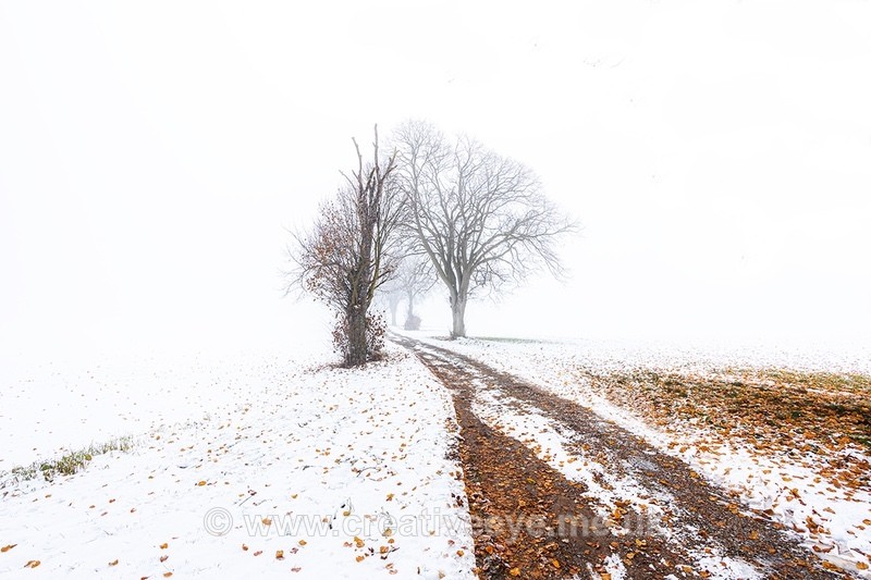 No 0051 - Landscape