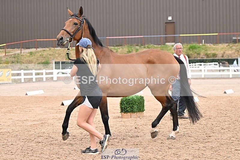 250716-161553-02534 - Trot Up 3.30 to 4.30