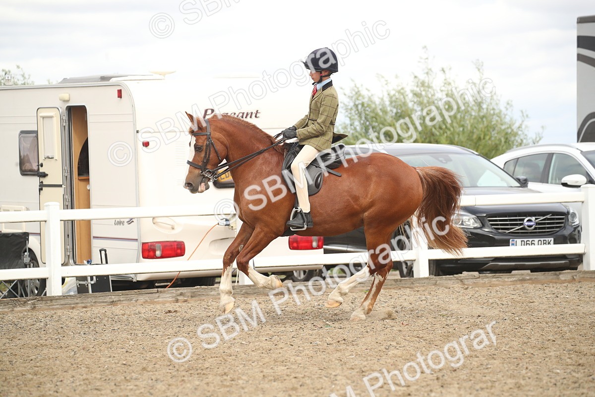 SBM_17882 - Class 508b - Working Veteran 70cm (20+)