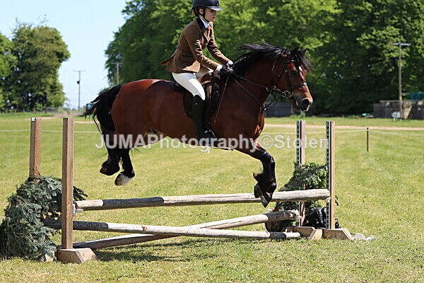 IMG_3722 - Working Hunter