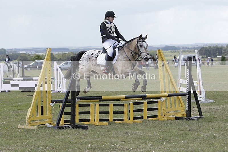 BVHT 140517 N-375 - Class 2 SJ Novice 14/05/17