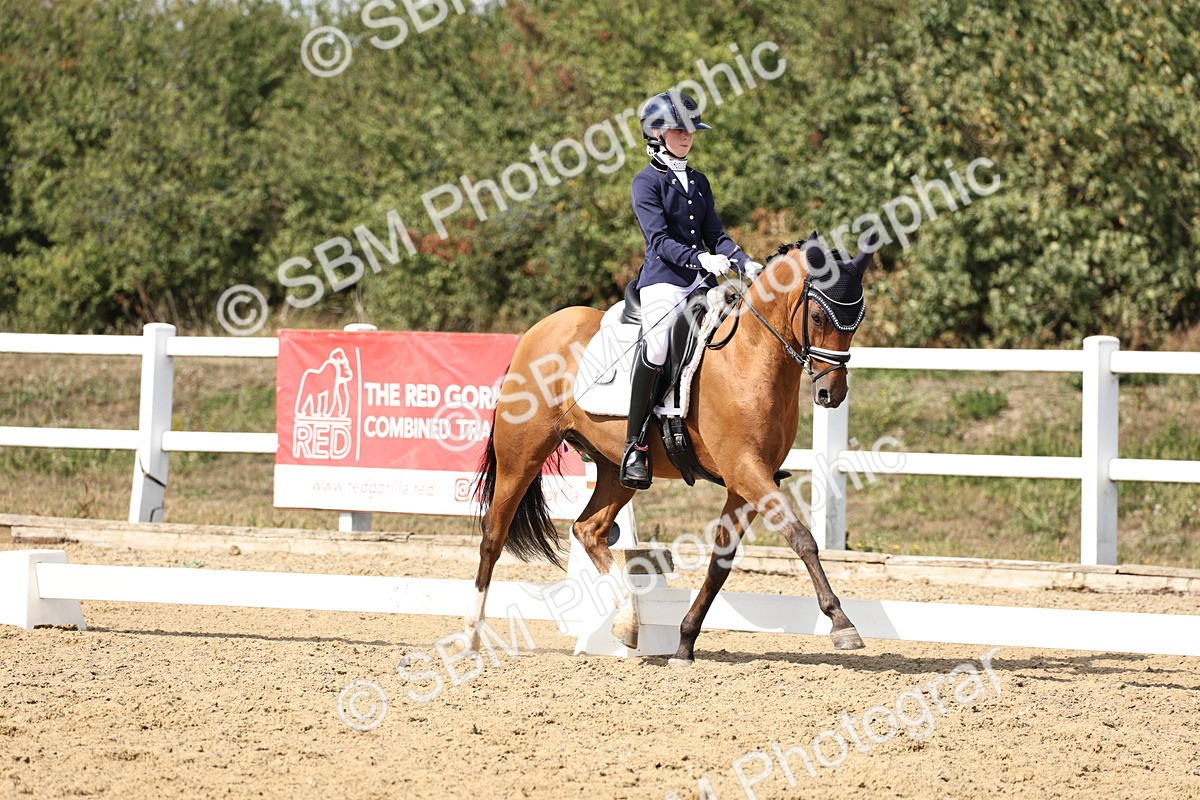 SBM_014845 - Class 7 - Medium 3