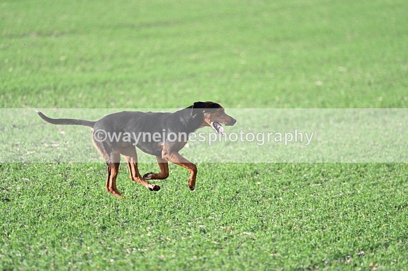 WJ7_3507 - Camera A
