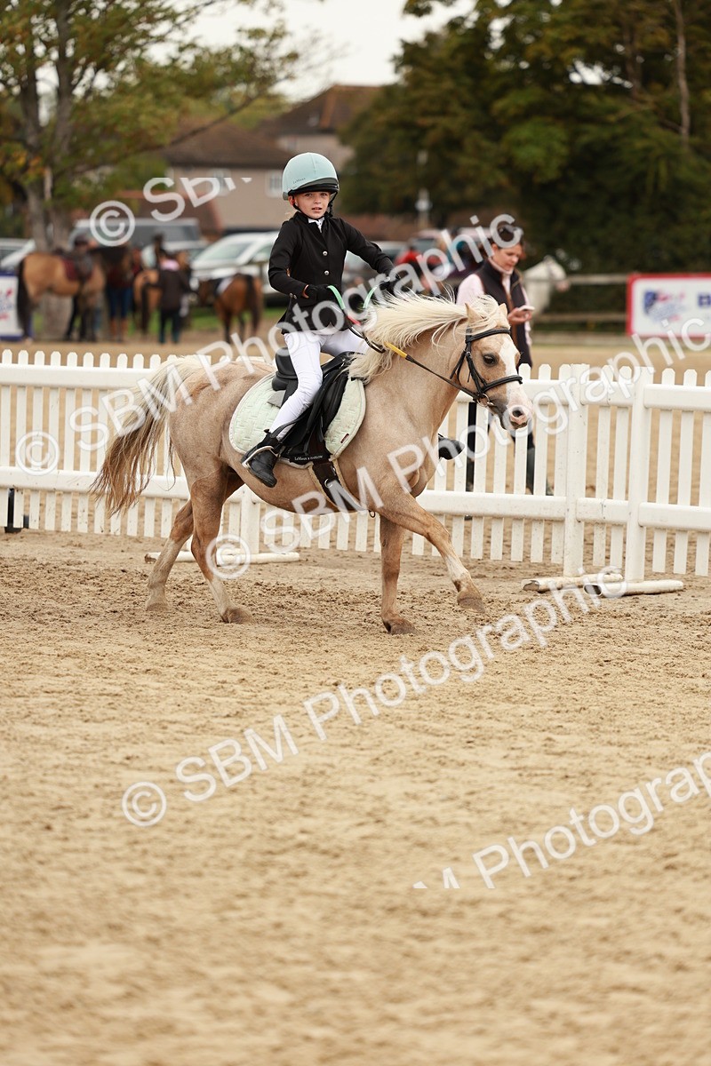 SBM_57920 - J11 - Junior Pony 50cm Championship