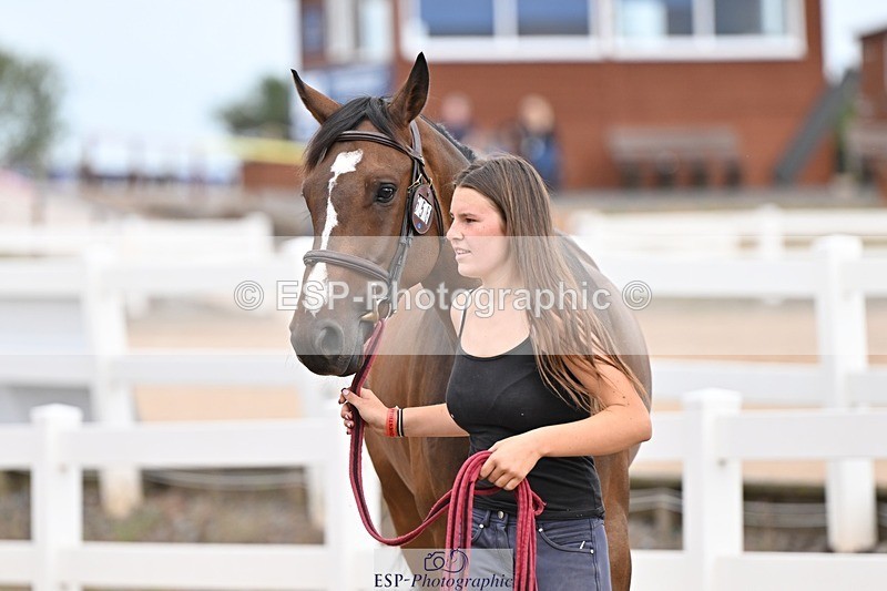 250716-163429-02681 - Trot Up 4.30 to 5.00