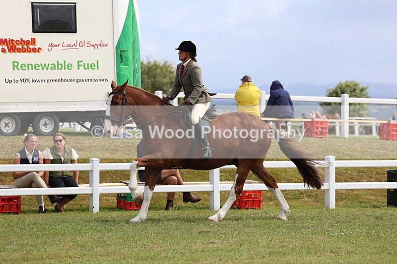 3E7A0211 - Class 6: Rising Star Maxi Cobs