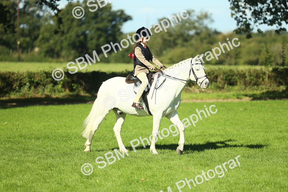 SBM_37492 - S29 - Novice & Newcomers Working Hunter Pony