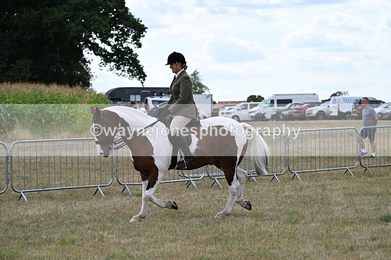 WJ7_4995 - Class 12 Ridden Cob