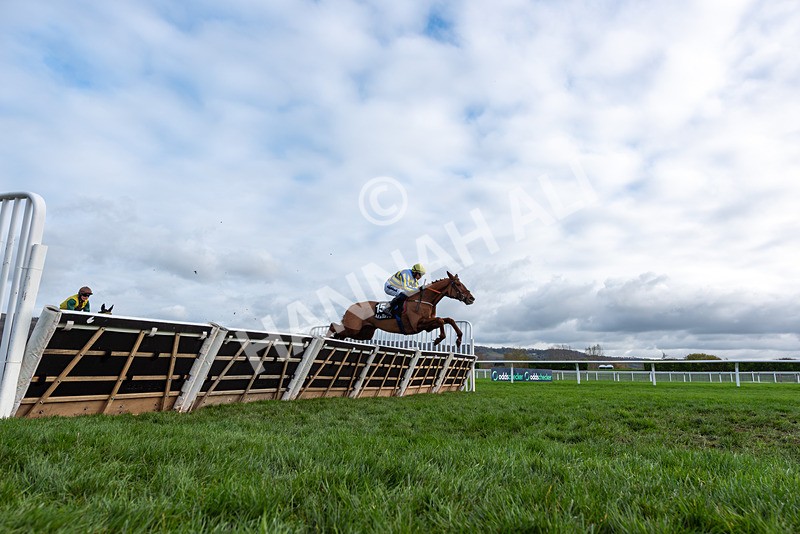 161125-Race 1-Astelia-2903 - Race 1