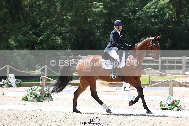 230526-130311-06309 - 164-TREBOR-Kelly_Mccarthy-maine-WEDTrotUp+DR