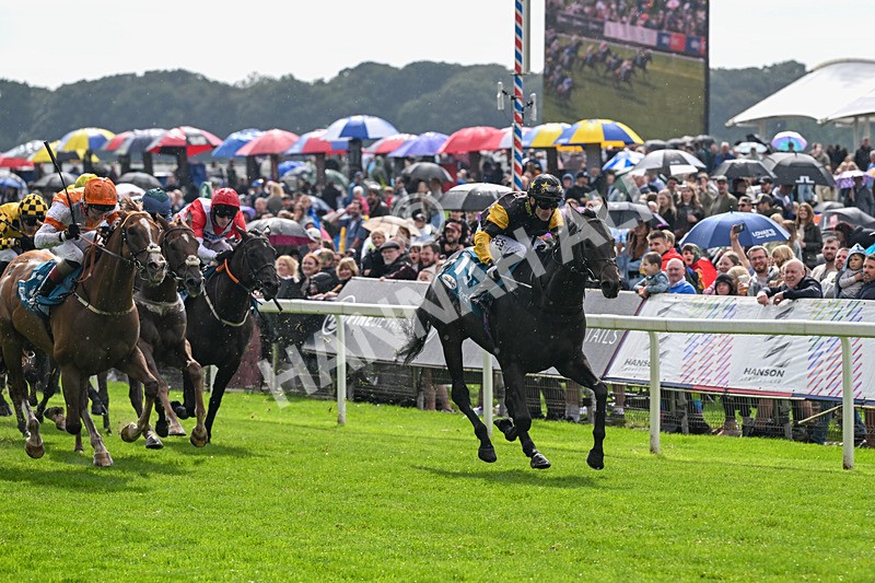 060926-Race 2-Oriental Prince-7204 - Race 2 2.05pm Fine Details Car Valeting Sprint Handicap