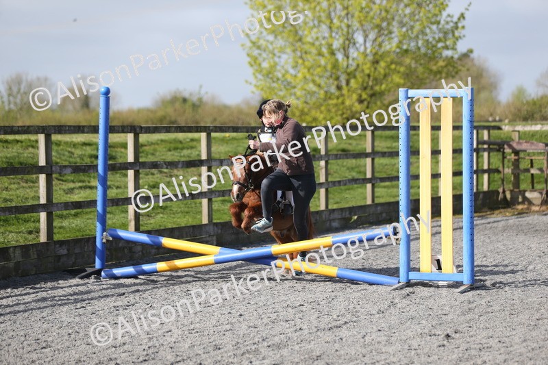 20260412-0067 - Show Jumping