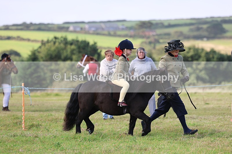 3E7A3504 - Class 2: Lead rein