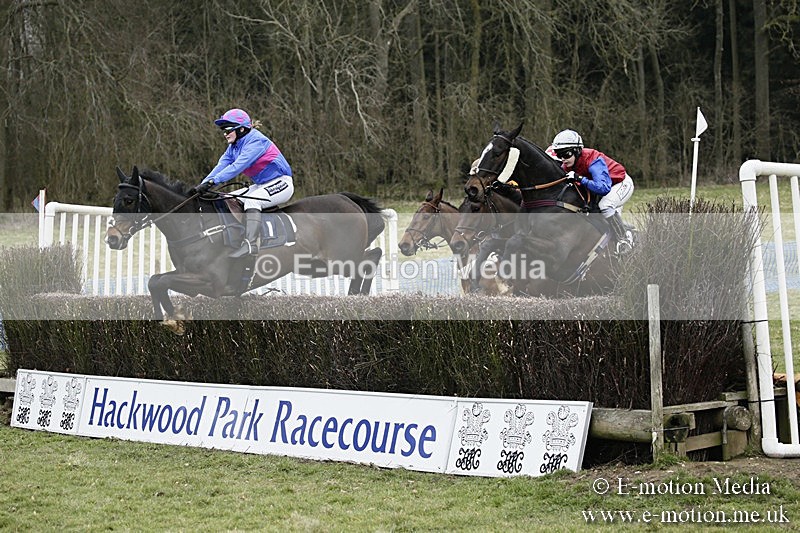 PtP 110318 138 - Hampshire Hunt Point-to-Point Hackwood Park 11/03/18
