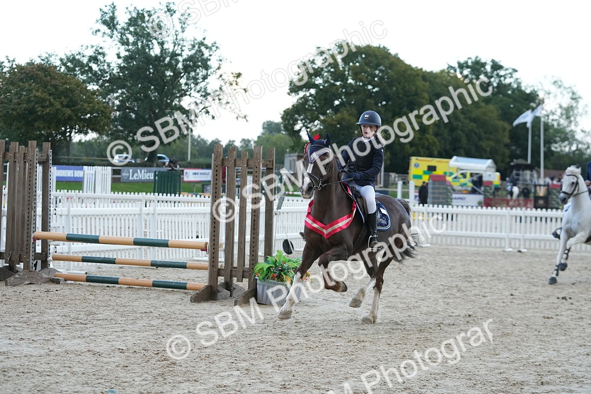 SBM_54263 - Supreme Championship 60cm 65cm