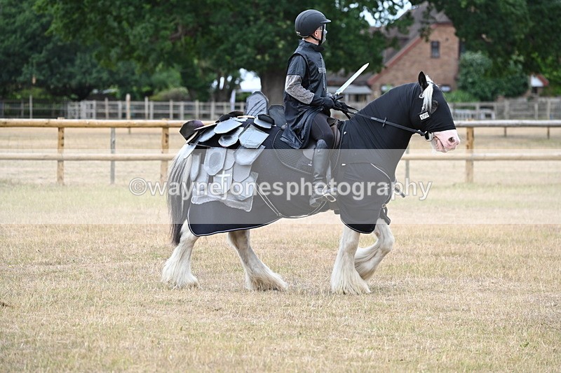 WJ6_8838 - Class 11 Fancy Dress