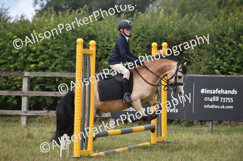 20250831-1884 - Class 9 - Absolute Novice 45cm