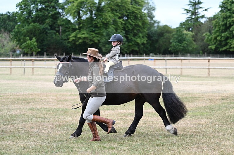 WJ7_9835 - Class 1 Lead Rein Pony