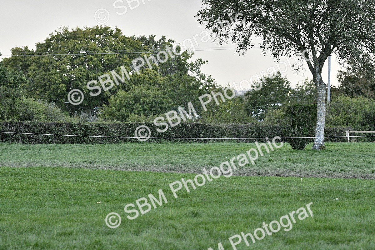 SBM_53306 - S14 - Riding Club Horse