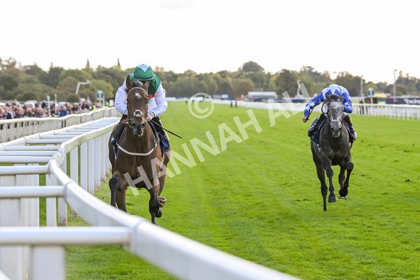 111024-Race 3-Minstrel Knight-1662 - Race 3 2.40pm William Hill Finale Handicap