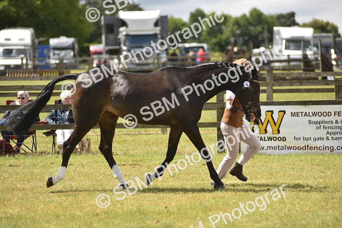 SBM_15800 - Class 115-116 - SSADL Home Produced Members Qualifier