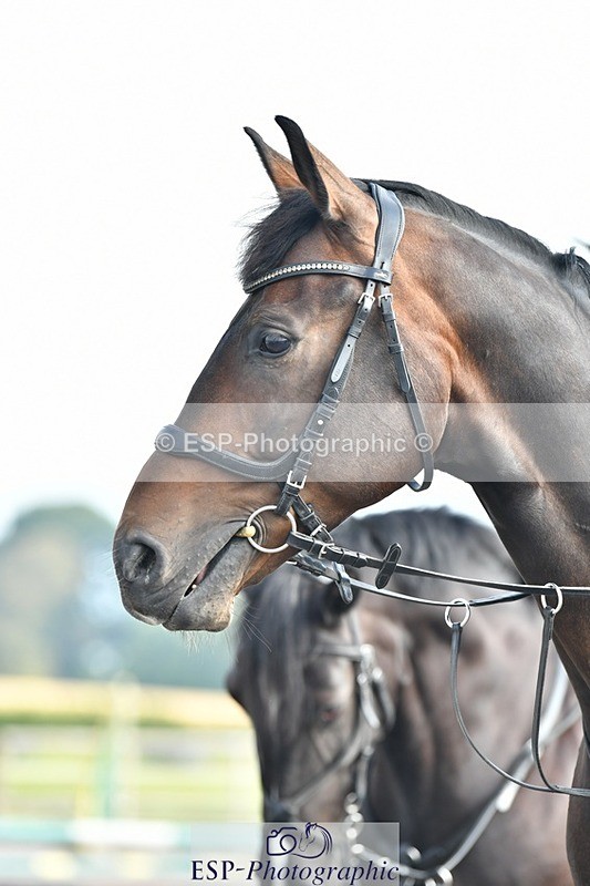 230817-100711-02629 - Abbie's 2nd Group - Arena