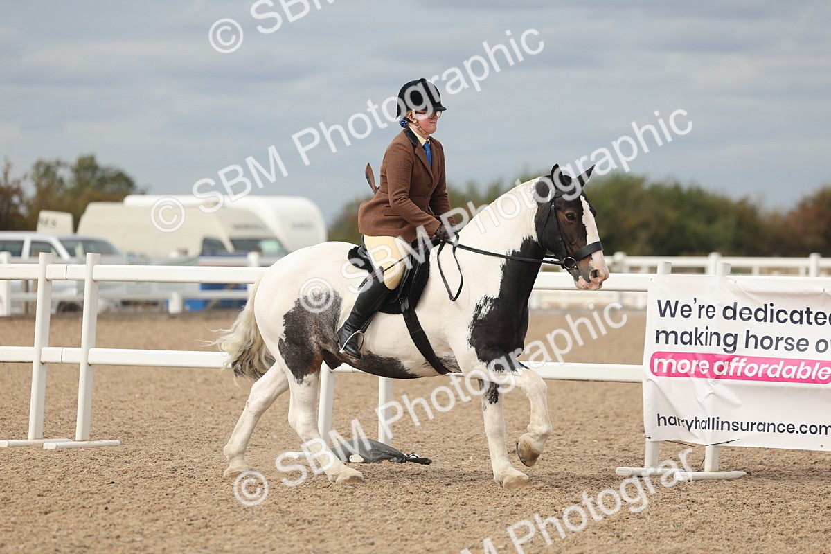 SBM_17999 - Class 314 - Family Horse Pony