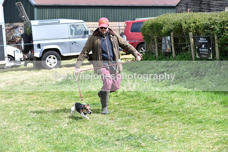 WJ5_0377 - Class 7 Best Terrier