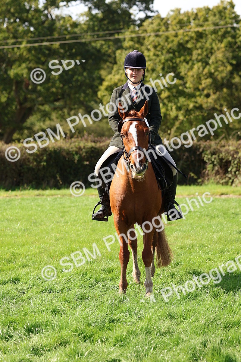 SBM_45302 - S27 - Young Veteran Ridden