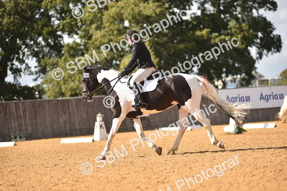 SBM_24311 - D4 - Small Tour Championship Intro 4
