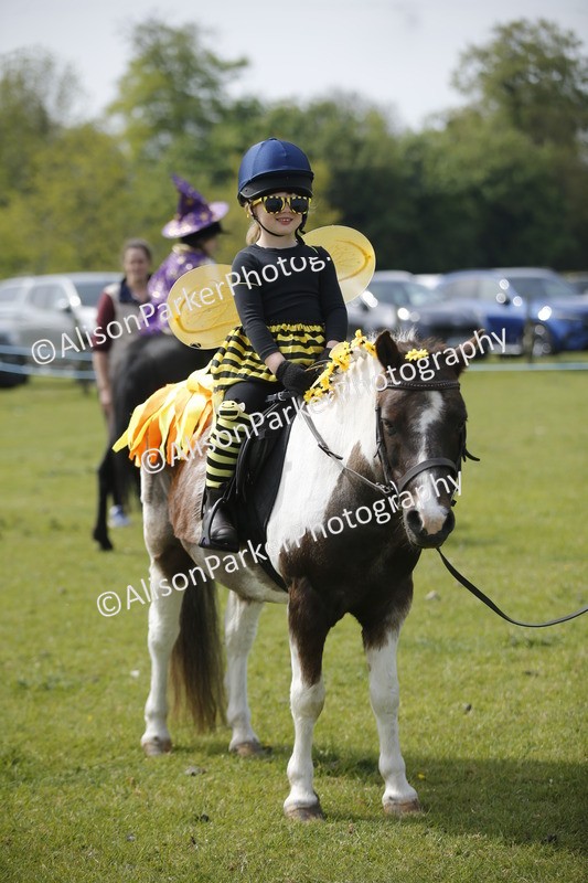 20260426-1441 - Class 6 - Fancy Dress