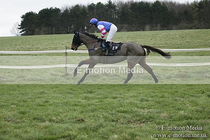 PtP 031217 563 - Hursley Hambledon Point-to-Point Larkhill 03/12/17