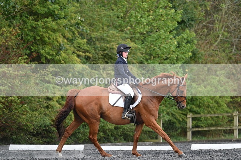 WJ7_7918 - Time 13:40 to 14:00