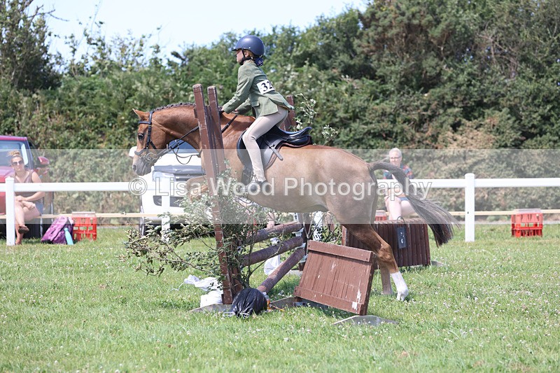 JPP_2668 - Class 21: Working Hunter 60cm