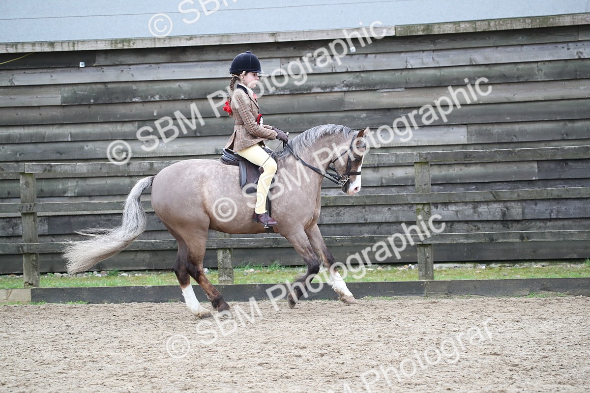 SBM_007067 - Class 10-13 - RIHS Small Large Breeds
