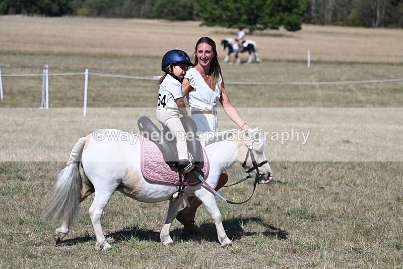 WJ7_1401 - Class 41 Prettiest Mare