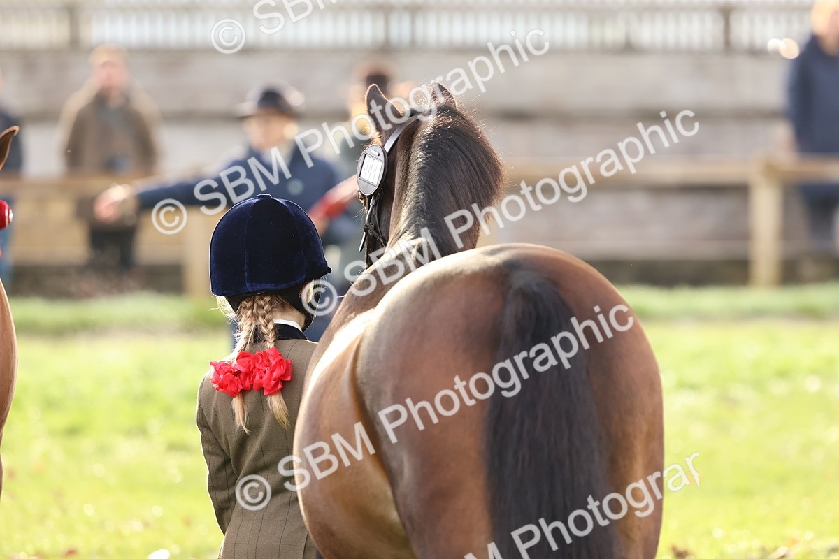 SBM_54893 - S39 - Starters In Hand Showing