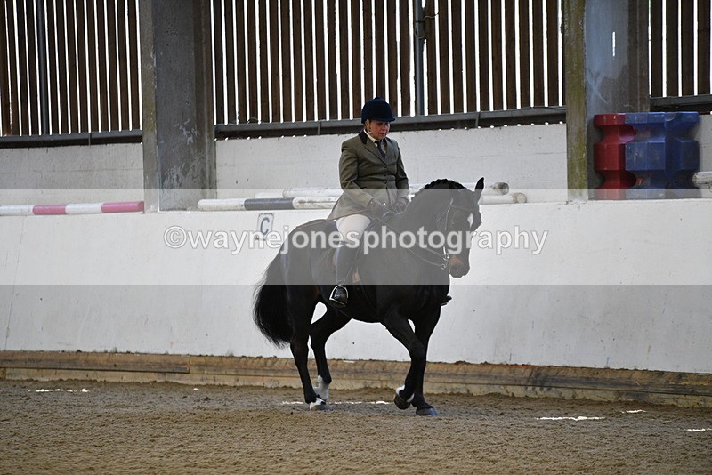 WJ5_5912 - Class 9 Ridden Veteran