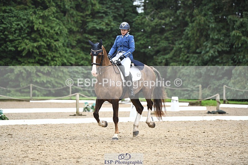 240720-160124-06335 - 142-Amberley_Pugsley-Hero_A