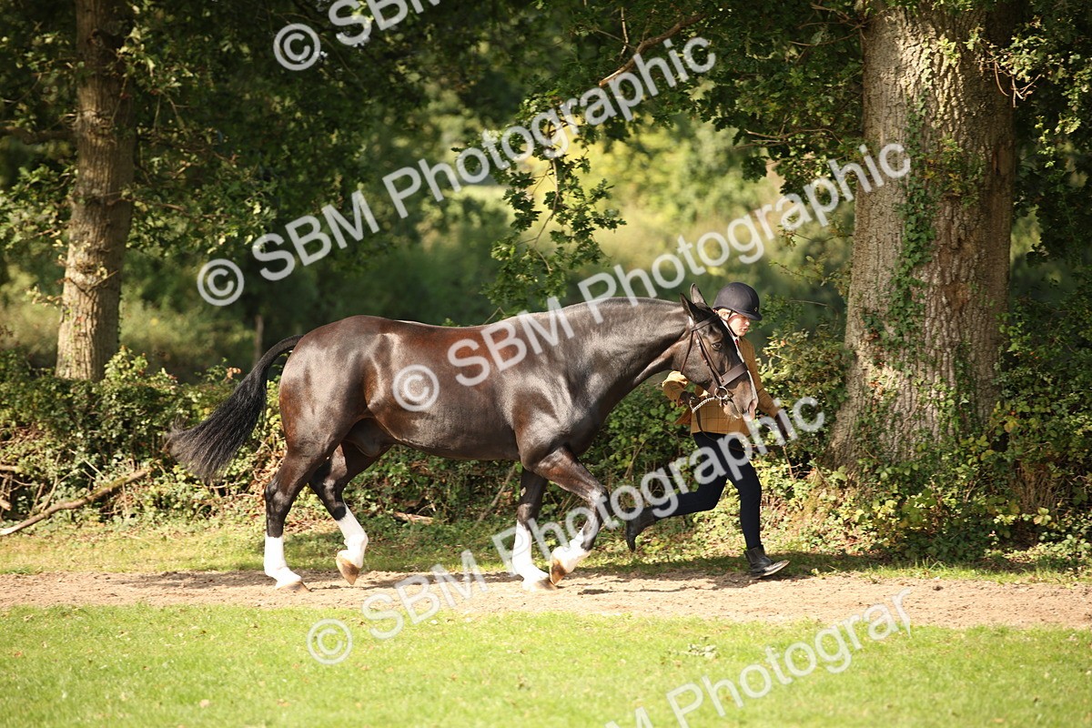 SBM_61173 - S54 - Show Cob In Hand