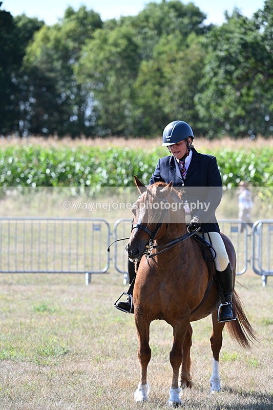 WJ7_3662 - Class 9 Mountain & Moorland Ridden