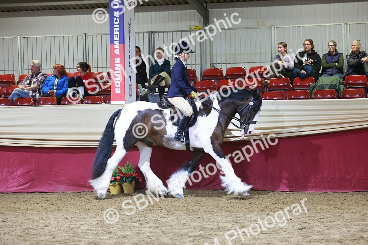 SBM_21149 - class Q - Ridden Horse Champ