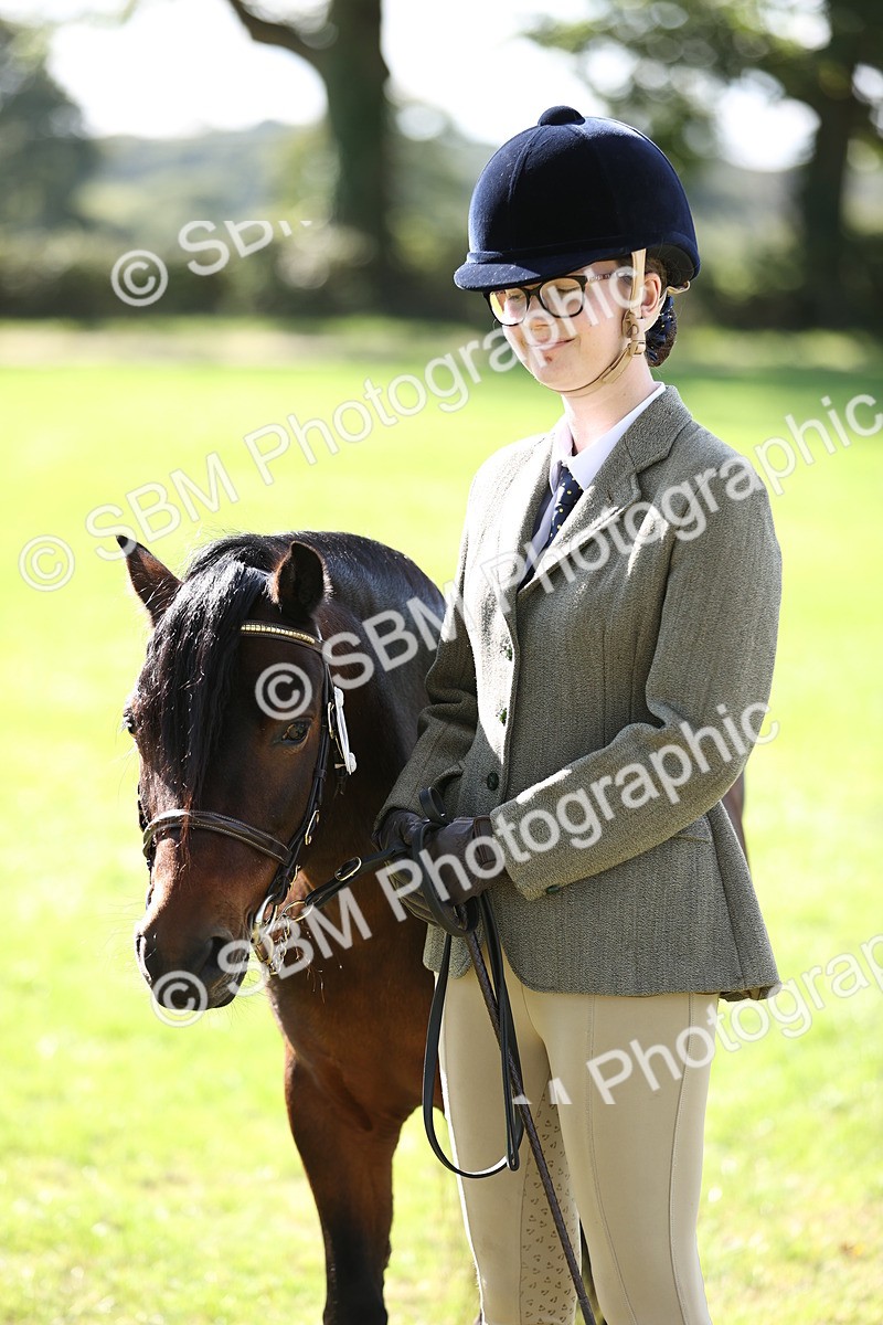 SBM_26213 - S5 - Novice & Newcomers In Hand